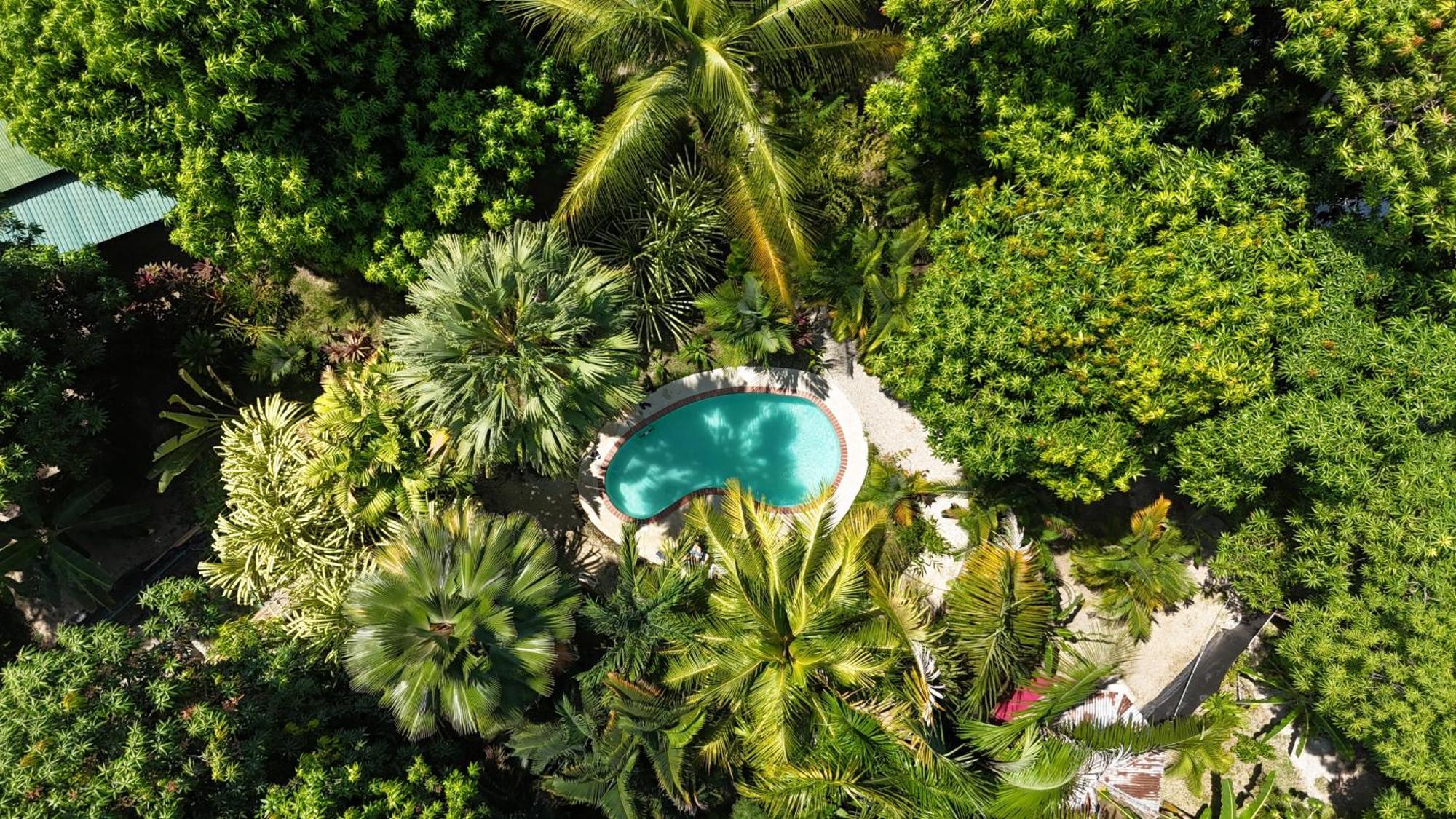 Hotel Luz De Luna Playa Santa Teresa  エクステリア 写真